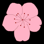 91蜜桃APP应用